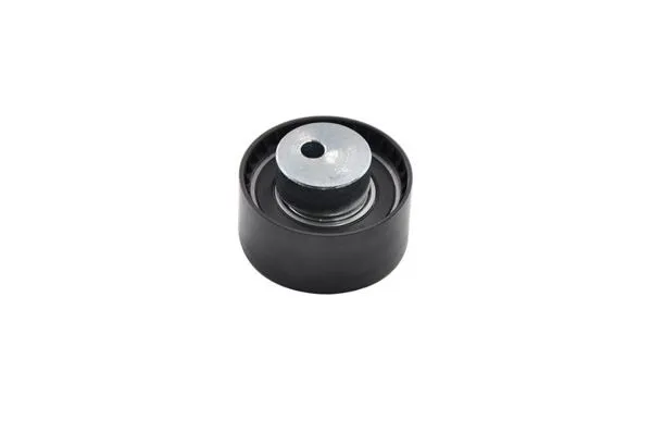 Triger Gergi Rulmanı 60×29 (Fiat 1.2 1.4 Albea Egea Stilo Punto 500 Palio Linea Doblo)