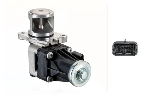 EGR Valfi