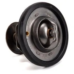 Ford B-Max 2012-2016 1.0 Ecoboost Termostat