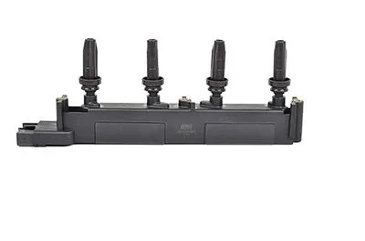 Ateşleme Bobini  206/307/406/407/C4/C5 2.0 Bnz (Ew10j4) 00-