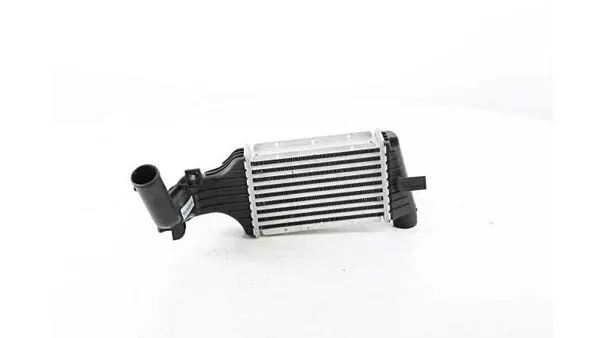 Turbo Radyatörü 220X127x64 Astra G Zafira A Y17dt Y20dth 98-04