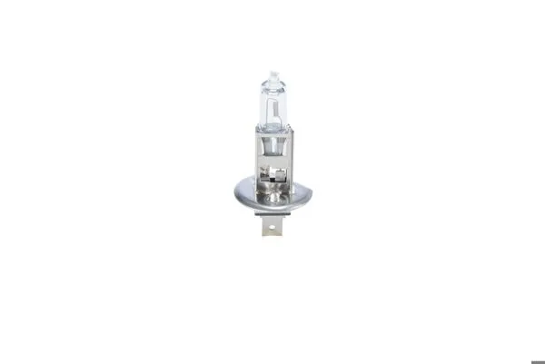 Eco Truck H1 E4 24 V 70 W P14,5S