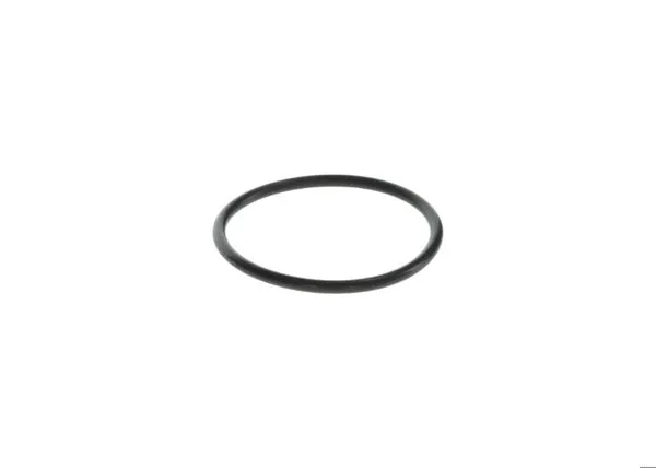 O-Ring Volvo 20460073-01319624