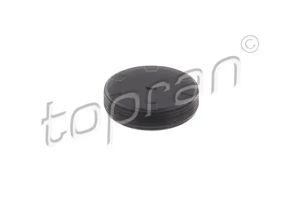 Silindir Kapak Tapası 32mm VW Tum Yeni Modeller 1,6Tdı 2.0 TDI