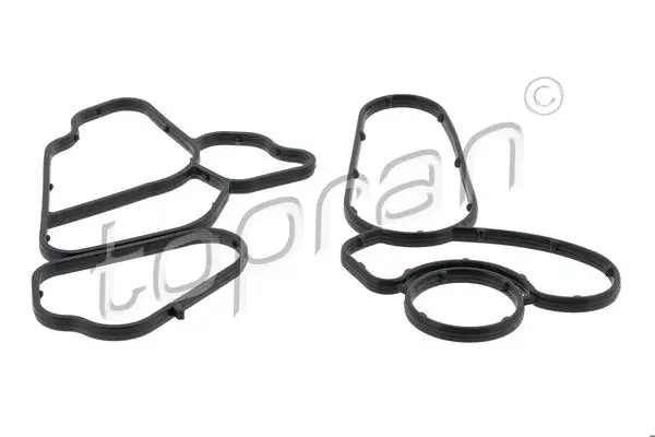 Yağ Radyatör Kutuk Contası BMW E46 E60 E65 E90 X3 E83 X5 E53 X5 E70 X6 E71 M57 N N2