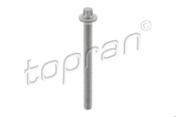 Enjektör Cıvatası (N47 (M8 X 1.25 X 91) BMW E60 E90 F10 F20 F22 F30 F34 F32 F36 G30 G20 F06 F12 F01