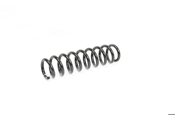 Helezon Yayı Arka F20-F21 Bm 10-17