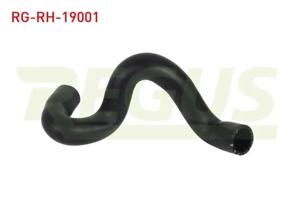 Radyatör Hortumu Alt Ford Focus II (Da) 1.4İ 2004-2011