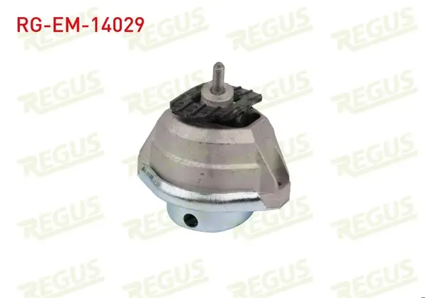 Motor Takozu Ön Sağ Yağlı BMW 5 Serisi (E60) 520 İ 2003-2010