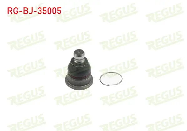 Rotil Ön Sol-Sağ Renault Megane II-Scenic I 2003-2009 / Clio III-IV 2005-2019 / Modus 2004-2014 / Dacia Logan 2004-2012 / Logan Mcv 2007-2013 / Sandero I 2008-2012