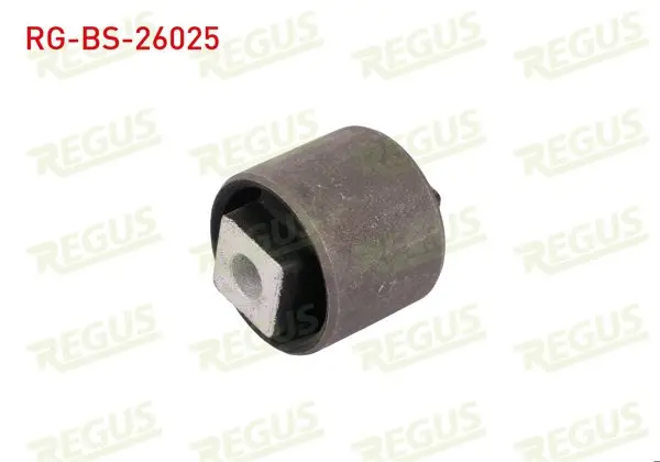 Denge Kol Burcu Arka Sol-Sağ Land Rover Freelander (Ln) 1.8 16V 1998-2007