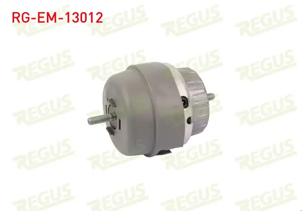 Motor Takozu Ön Sağ Audi A6 (4F2,C6) 2.0 TFSI 2004-2011