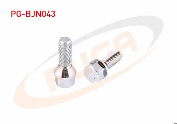 Bijon Cıvatası Renault Megane / Clio / Kangoo Aa.17