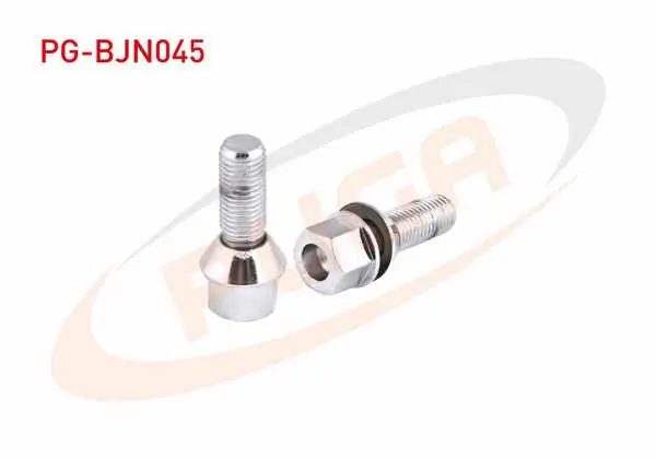 Bijon Cıvatası Pullu (Universal) Renault Megane / Clio / Kangoo (Y.M) Aa.17