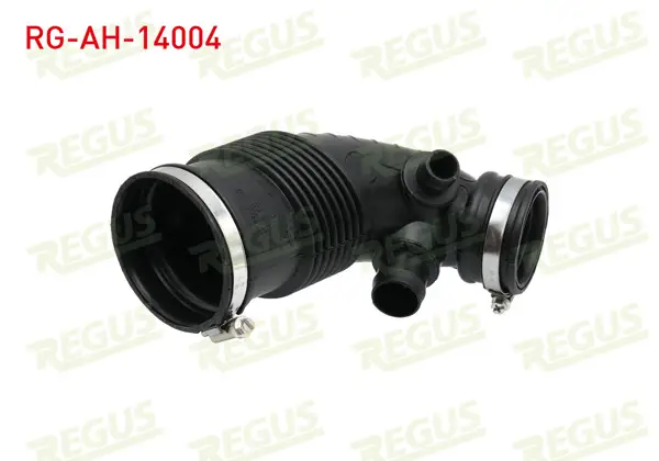 Hava Filtre Borusu BMW 3 Serisi (F30) 316 İ 2011 -