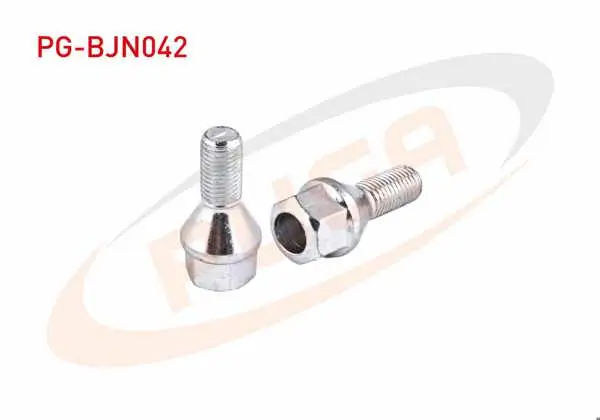 Bijon Cıvatası Delikli Tip Renault Megane / Clio / Kangoo (E.M) Aa.19