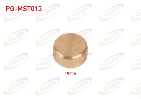 Motor Blok Su Tapası 10mm Sarı Pırınc