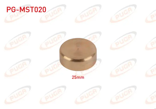 Motor Blok Su Tapası 25mm Sarı Pırınc