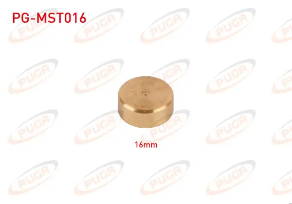 Motor Blok Su Tapası 16mm Sarı Pırınc