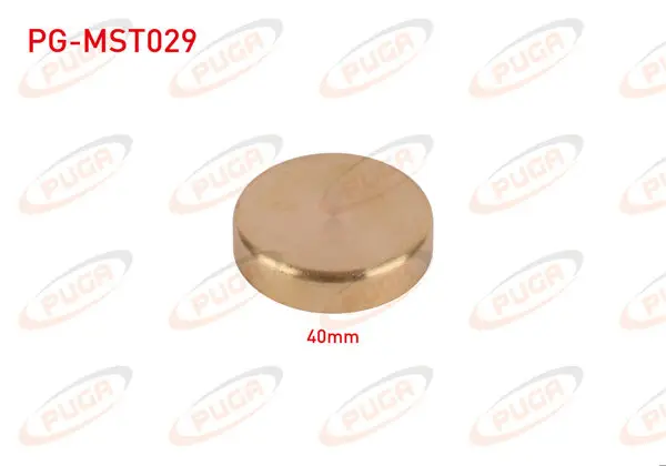 Motor Blok Su Tapası 40mm Sarı Pırınc