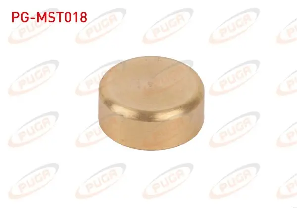 Motor Blok Su Tapası 22mm Sarı Pırınc