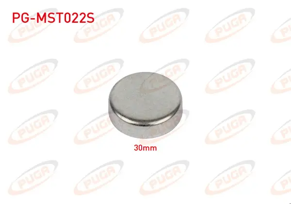 Motor Blok Su Tapası 30mm