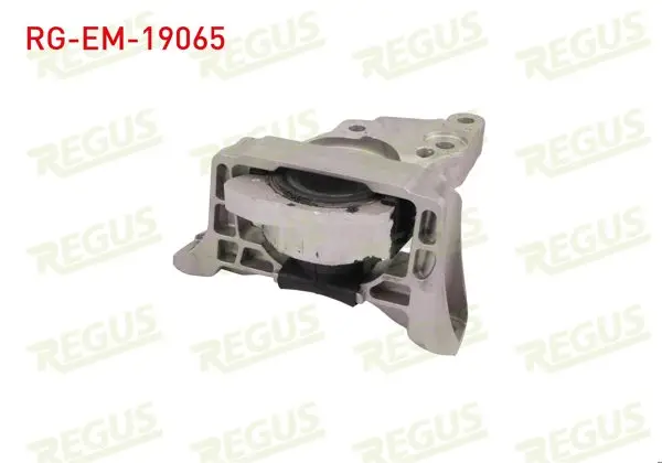 Motor Takozu Focus III 2.0 TDCI 2014-/ C-Max 2.0 TDCI 2015 -