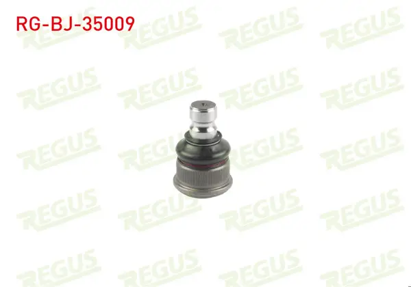 Rotil Cap Ø22 Ön Alt Renault Master 1998-2010 / Opel Movano A 1998-2010 / Nissan Interstar 2002-2010