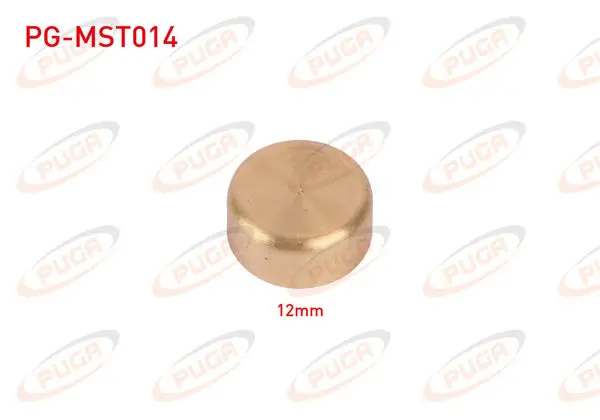 Motor Blok Su Tapası 12mm Sarı Pırınc