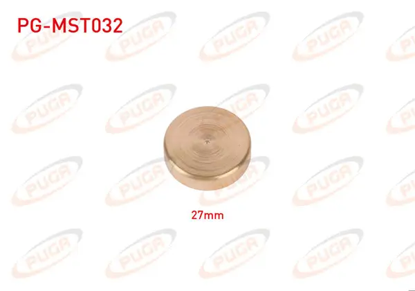 Motor Blok Su Tapası 27mm Sarı Pırınc