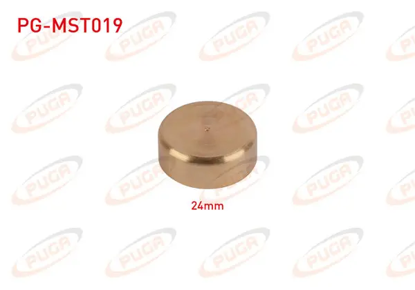 Motor Blok Su Tapası 24mm Sarı Pırınc