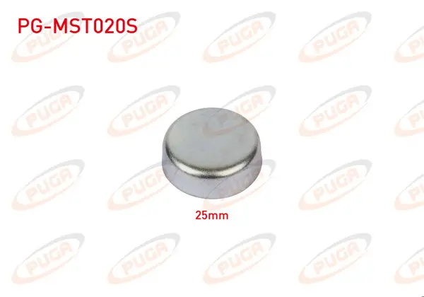 Motor Blok Su Tapası 25mm