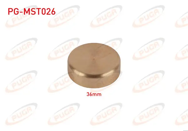 Motor Blok Su Tapası 36mm Sarı Pırınc