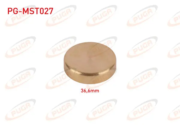 Motor Blok Su Tapası 36,6mm Sarı Pırınc