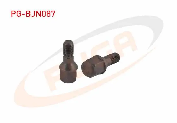 Bijon Cıvatası Peugeot 206 / 207 / 307 (E.M) Aa.19