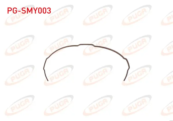Senkromec Yayı Megane II / Master II