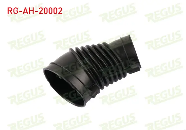 Hava Filtre Hortumu Cr-V 1.6 İ-Dtec