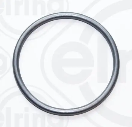 Seal, Fuel Pump Opel