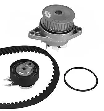 Triger Seti + Devirdaim (VW Caddy 96-03 Golf 95-98 Polo 95-00 Polo CLS 97-00 Seat Ibiza 97-99) AEE-Alm