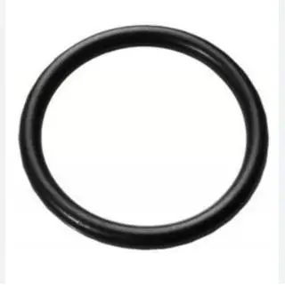 Oring Conta F30 316 N13