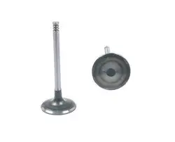 Bmw 3 Serisi E36 Kasa 316i M40 Motor Subap Takımı Emme-Egsoz 8 Valf