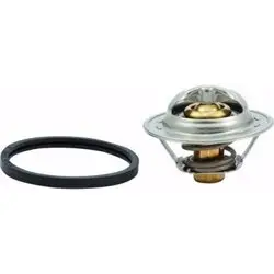 Peugeot 406 2.0 16V Benzinli Termostat Orijinal