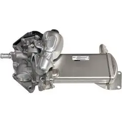 Volkswagen Amarok 2.0 TDI Motor Egr Valfi