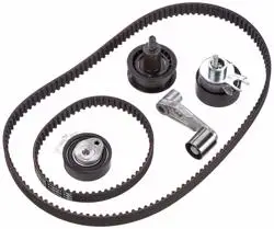 Skoda Fabia 1.4 CGG Motor Triger Seti