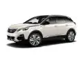 Peugeot 3008 2010-2016 Arka Kapı Gergisi Yansanayi 2