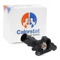 Renault Clio 3 2004-2010 1.2 16V Termostat 89C
