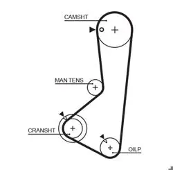 Triger Kayışı 122-240 Hyundai Sonata 88-93 1.8-2.0-2.4 Mitsubishi Galant 84-92 1.8-2.0-2.4