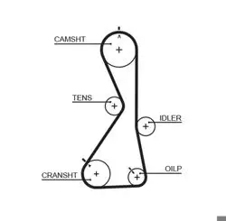 Triger Kayışı 122-290 Mitsubishi Galant 96-03 2.0 16V 4G63
