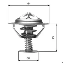 Termostat 77 °C Govdesız (Honda S2000 2.0)