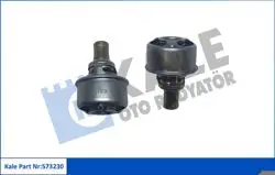 Termostat 75 C V1324 (Renault R12)